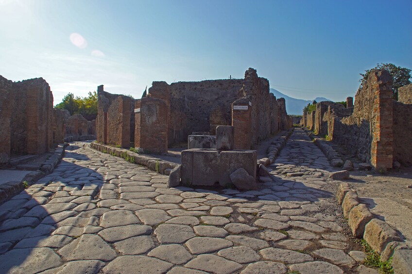 Full Day Private Tour of Pompeii and Naples from Rome by Car