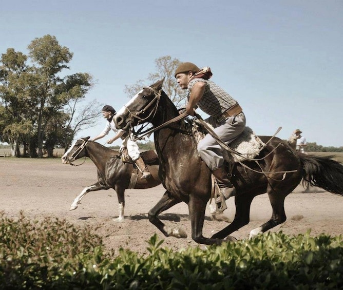 Estancia Gaucho 'Santa Susana' Day Tour from Buenos Aires