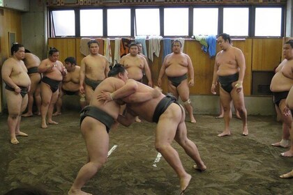 Tokyo Ryogoku Sumo 早上練習 + 與鬥士一起拍照