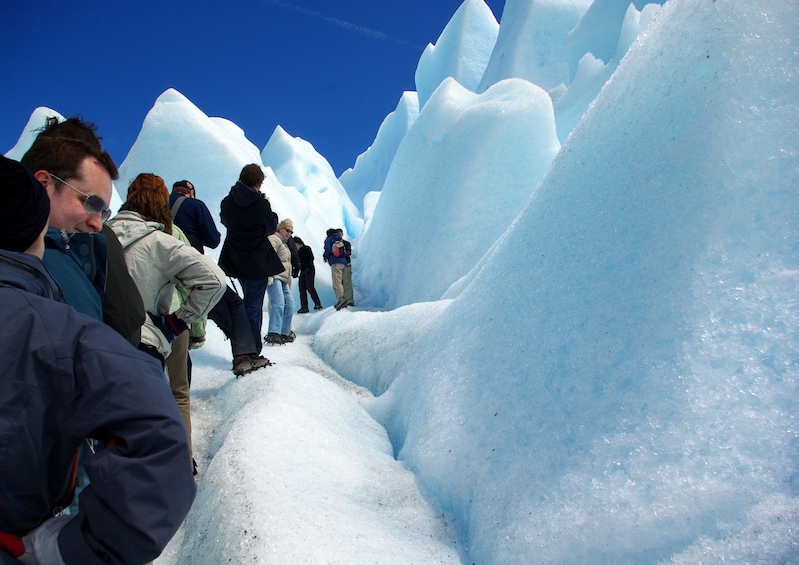 CALAFATE BigIce trekking and walkways of Los Glaciares