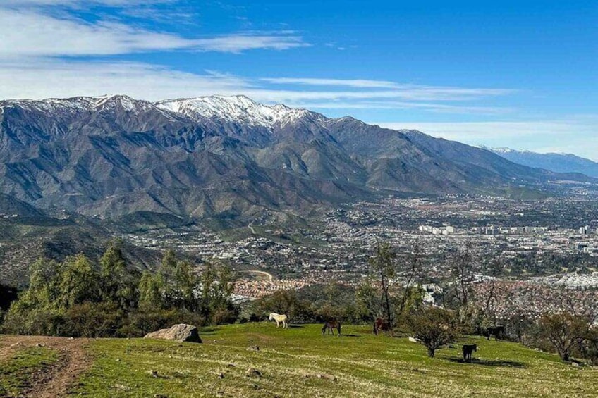 Andes Escape: Halfday Hike from Santiago