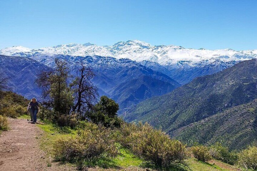 Good trails, views and local wildlife.