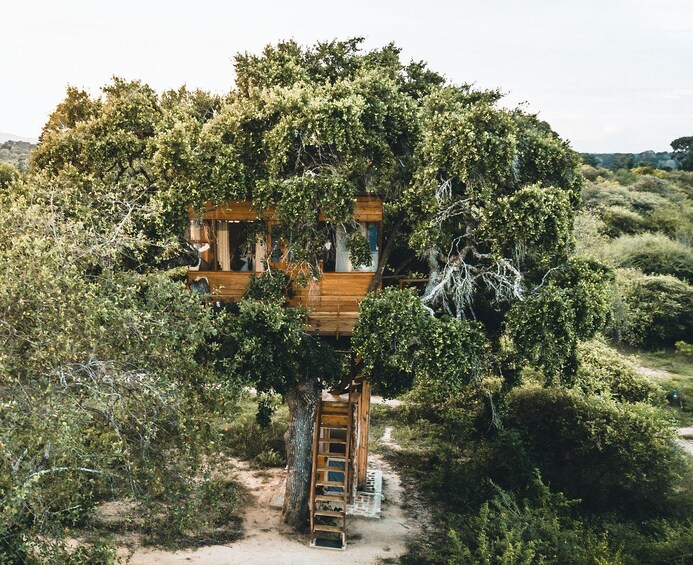 Private Overnight Luxury Leopard Safari - Yala National Park