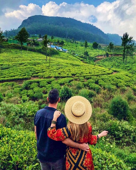 Show item 1 of 5. 2-Days Kandy And Nuwara Eliya Tour