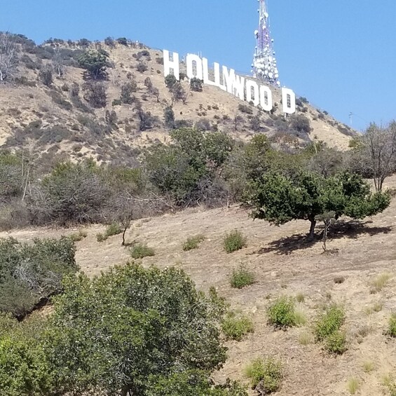 Los Angeles Private Tour