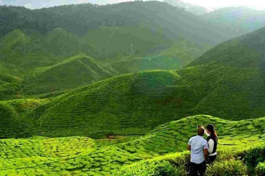 Assam & Meghalaya tour