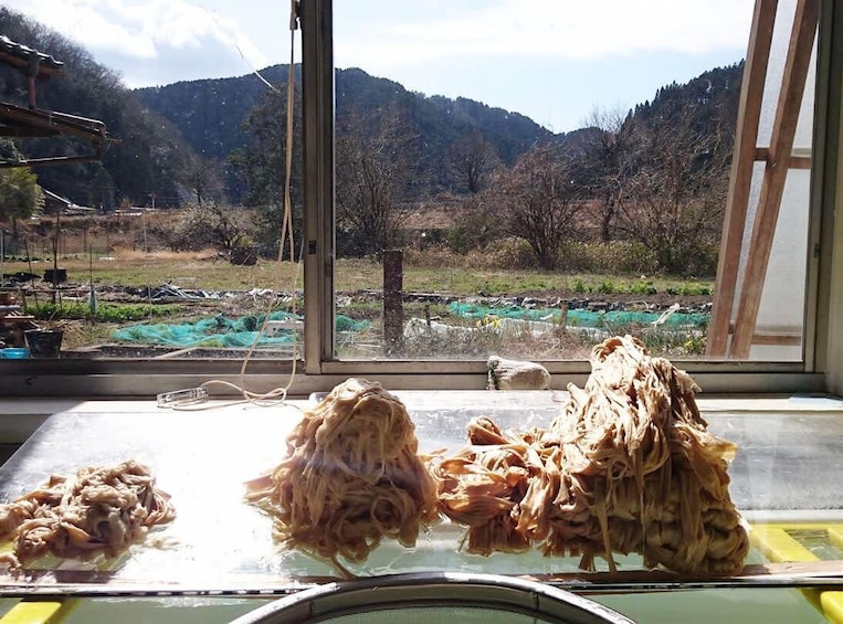 Washi Paper Making with an Artisan in Mino, Gifu Prefecture