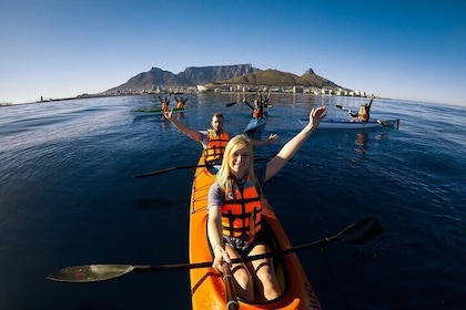 Kayak Adventure in Cape Town, Table Mountain National Reserve