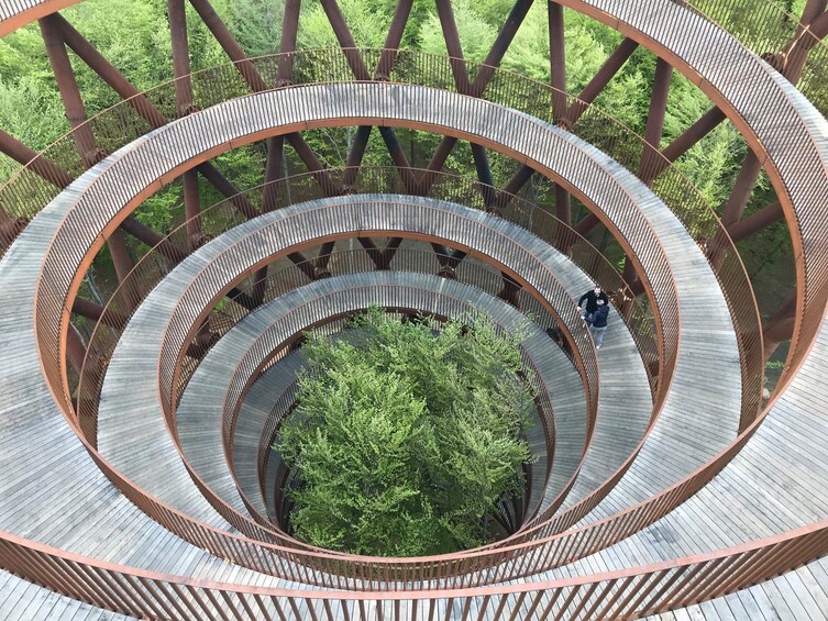 Show item 5 of 7. Forest Tower Tour