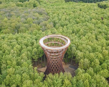 Forest Tower Tour