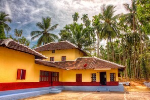 Jewish Town Exploration in Kochi - Guided Walking Tour