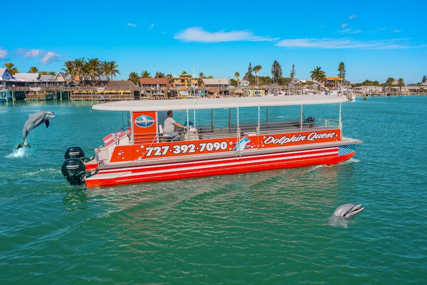 Dolphin Watching in Boca Ciega Bay