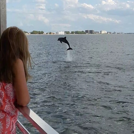 Guaranteed Dolphin Sighting in Boca Ciega Bay!