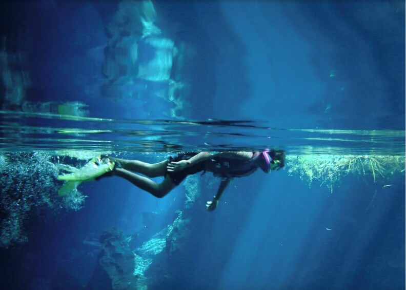 Cozumel Marine Park Snorkeling Day Excursion 