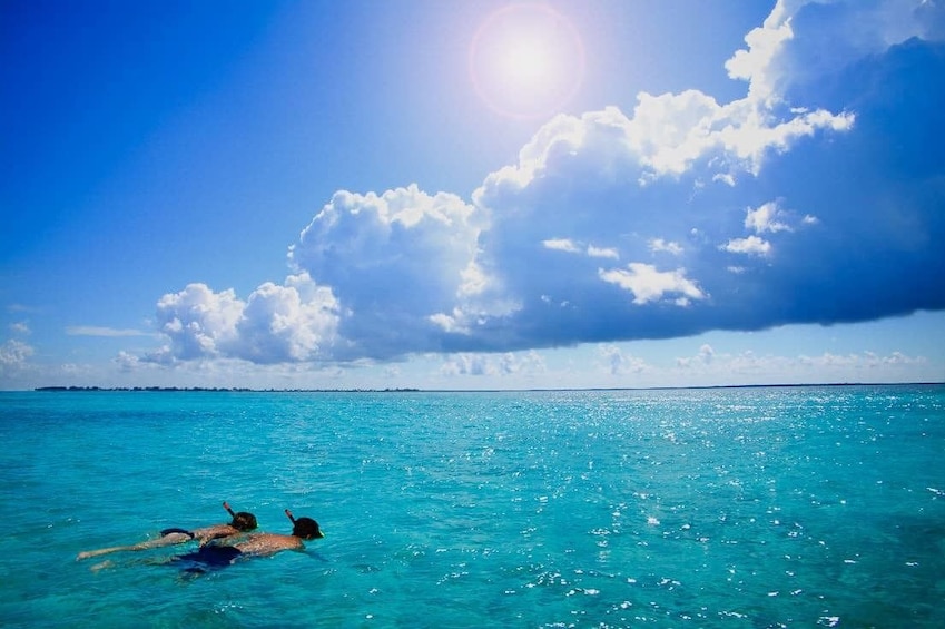 Cozumel Marine Park Snorkeling Day Excursion
