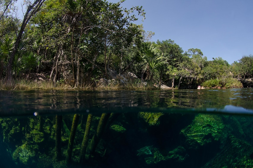 Cenotes Snorkeling Day Excursion 
