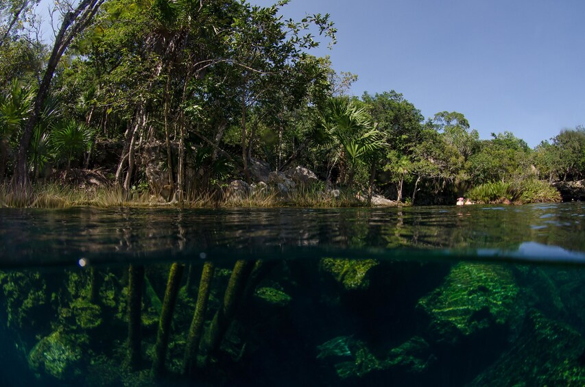 Cenotes Snorkeling Day Excursion 