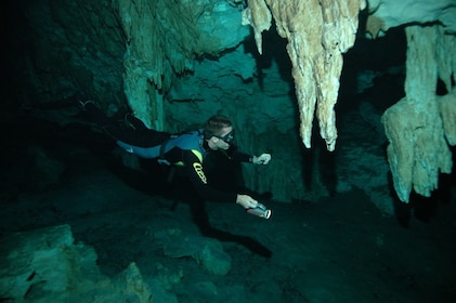 Excursión de un día de esnórquel a los cenotes