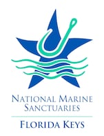 Sport fishing charters