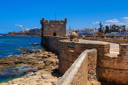 Small-group Day Trip to Essaouira from Marrakesh