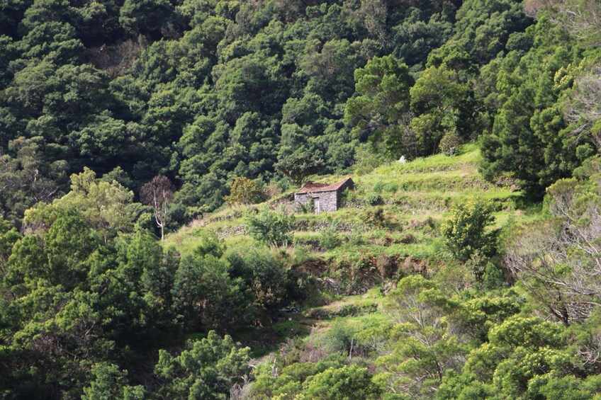 Guided Nature Hike (Half Day) - Maroços