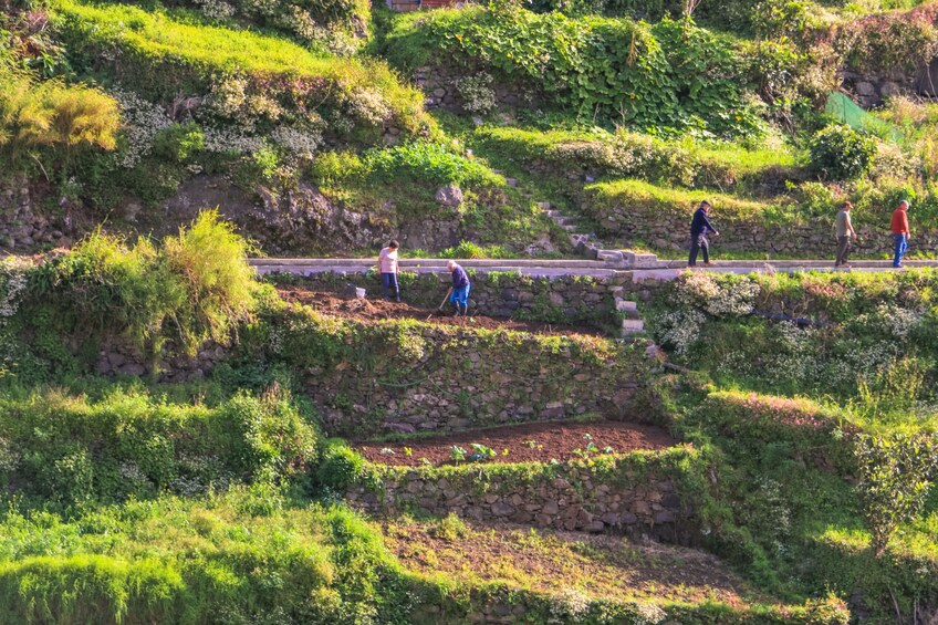 Guided Nature Hike (Half Day) - Maroços