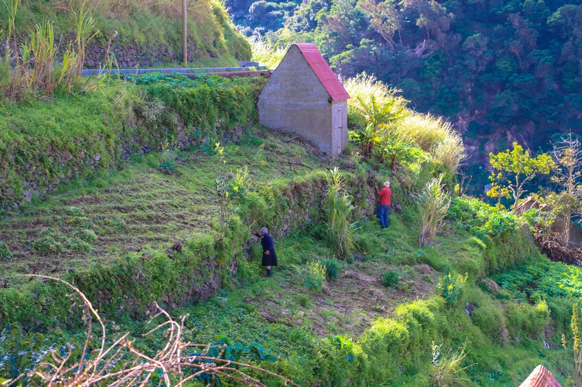 Guided Nature Hike (Half Day) - Maroços