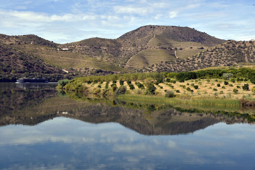 A Complete scenic wine experience