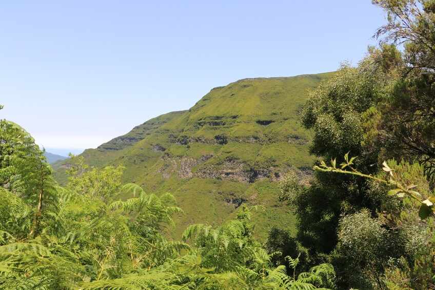 Guided Nature Hike (Full Day) - Rabaçal / 25 Fontes