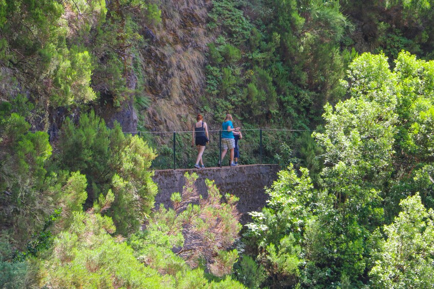 Guided Nature Hike (Full Day) - Rabaçal / 25 Fontes