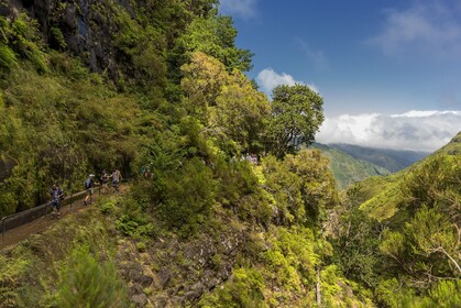 Caminata Guiada por la Naturaleza (Día Completo) - Rabaçal/25 Fontes