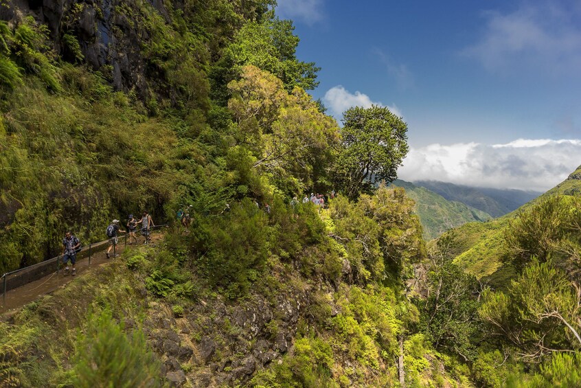 Guided Nature Hike (Full Day) - Rabaçal / 25 Fontes