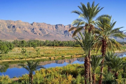 Desert Odyssey: A 2-Day Journey from Marrakech to Zagora