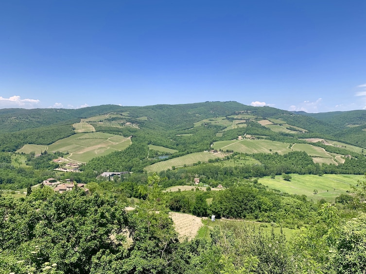 Panoramic view of the Chianti Hills & Radda