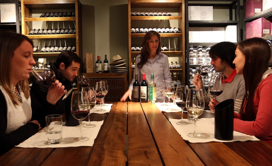 Malbec Experience Wine Full-Day Tour to Mendoza from BsAs
