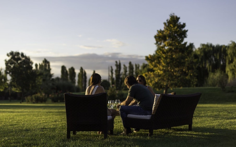 Malbec Experience Wine Full-Day Tour to Mendoza from BsAs
