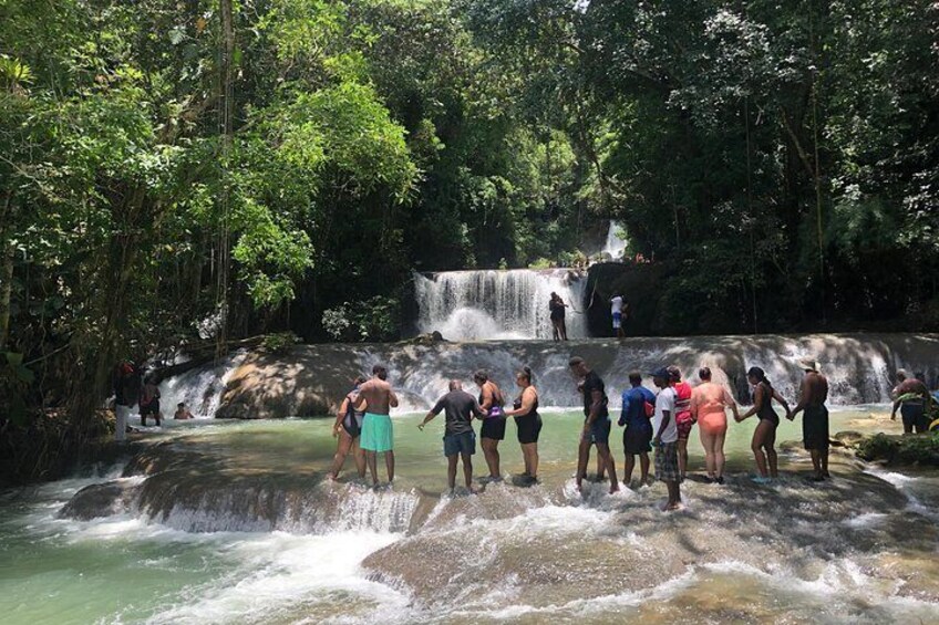 Black River Safari, YS Falls and Floyd's Pelican Bar