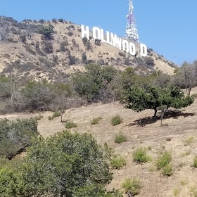 Hollywood et Beverly Hills excursion avec options plage et hip-hop