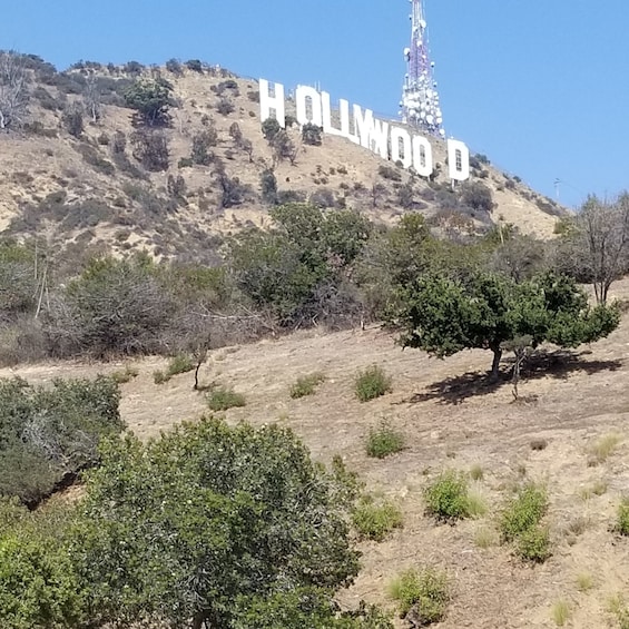 Half Day Hollywood and Beverly Hills Tour