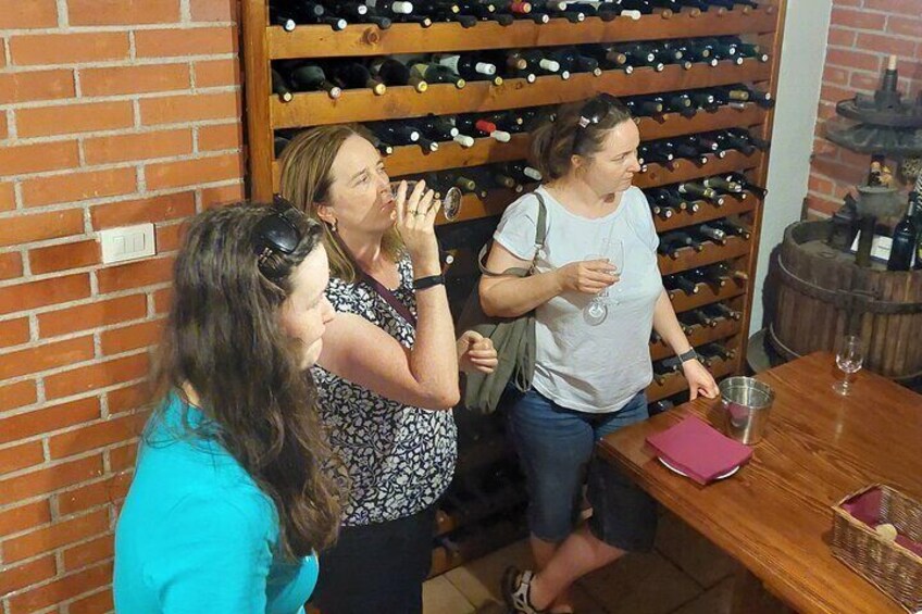Wine tour Peljesac
