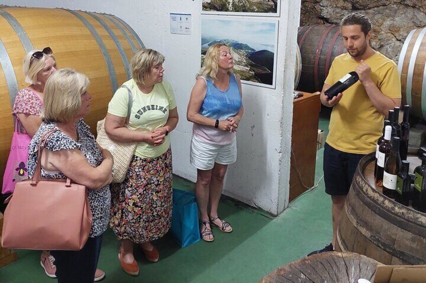 Wine tour Peljesac
