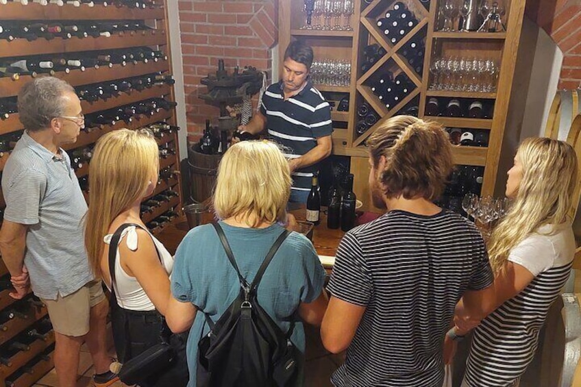 Wine tour Peljesac