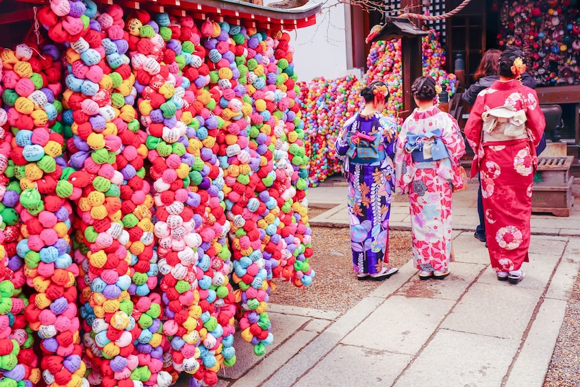 Kyoto Photogenic One Day Bus Tour
