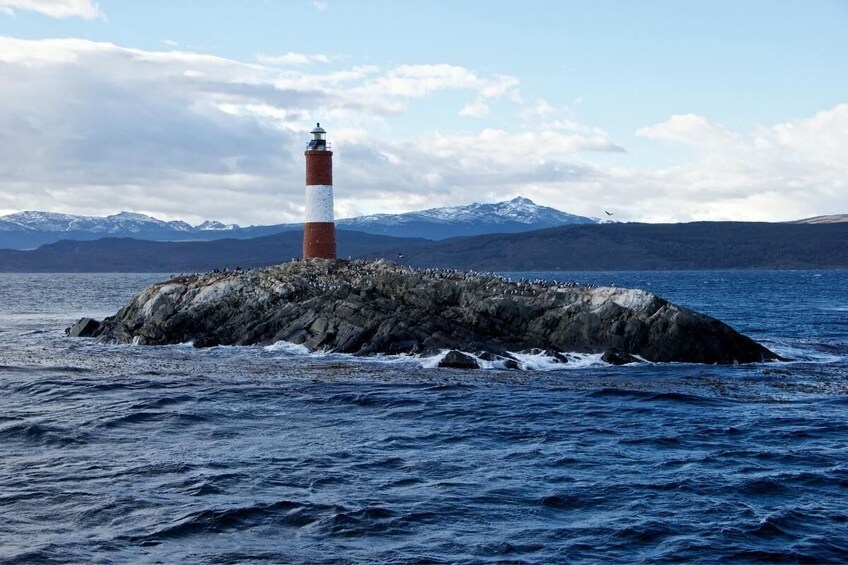 USHUAIA: Sailing Beagle Channel - Isla de los Lobos and Bridges  Islands