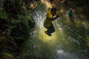 São Paulo Adventurous,Atlantic Forest,Waterfalls,Wildlife...