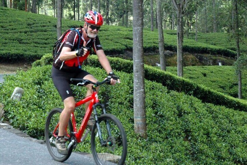 Cycling in Kandy Tea Fields