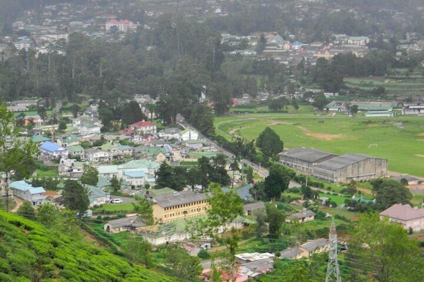 Hike to Single Tree Hill in Nuwara Eliya