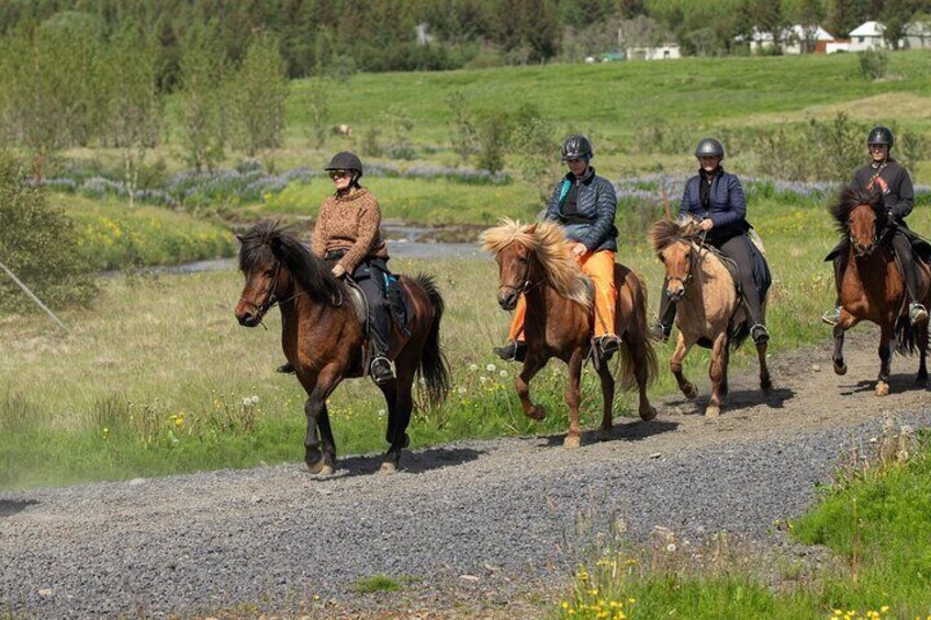 The Heritage Tour from Reykjavík: 1.5 to 2-Hour Ride