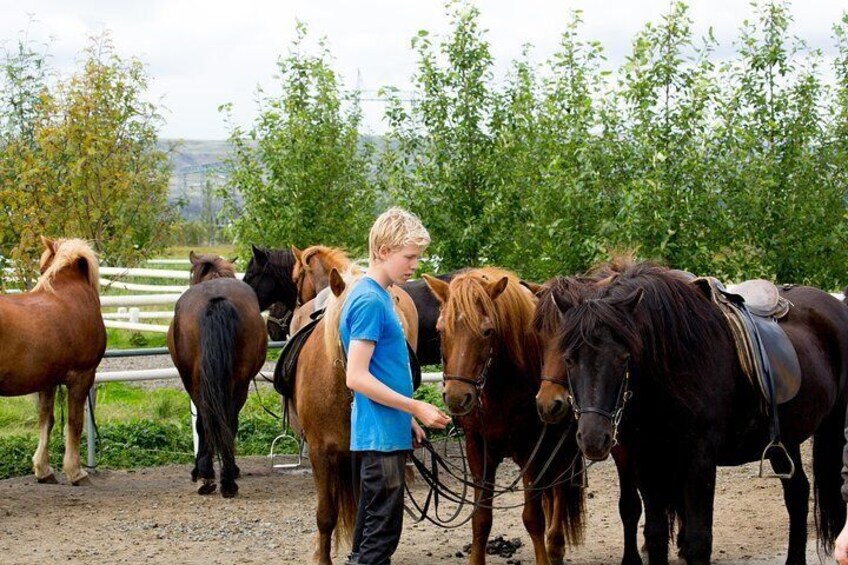 The Heritage Tour from Reykjavík: 1.5 to 2-Hour Ride