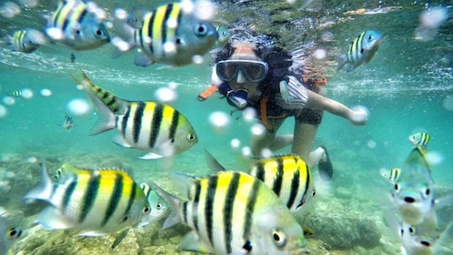 Yogyakarta Nglambor Beach Snorkeling Tour